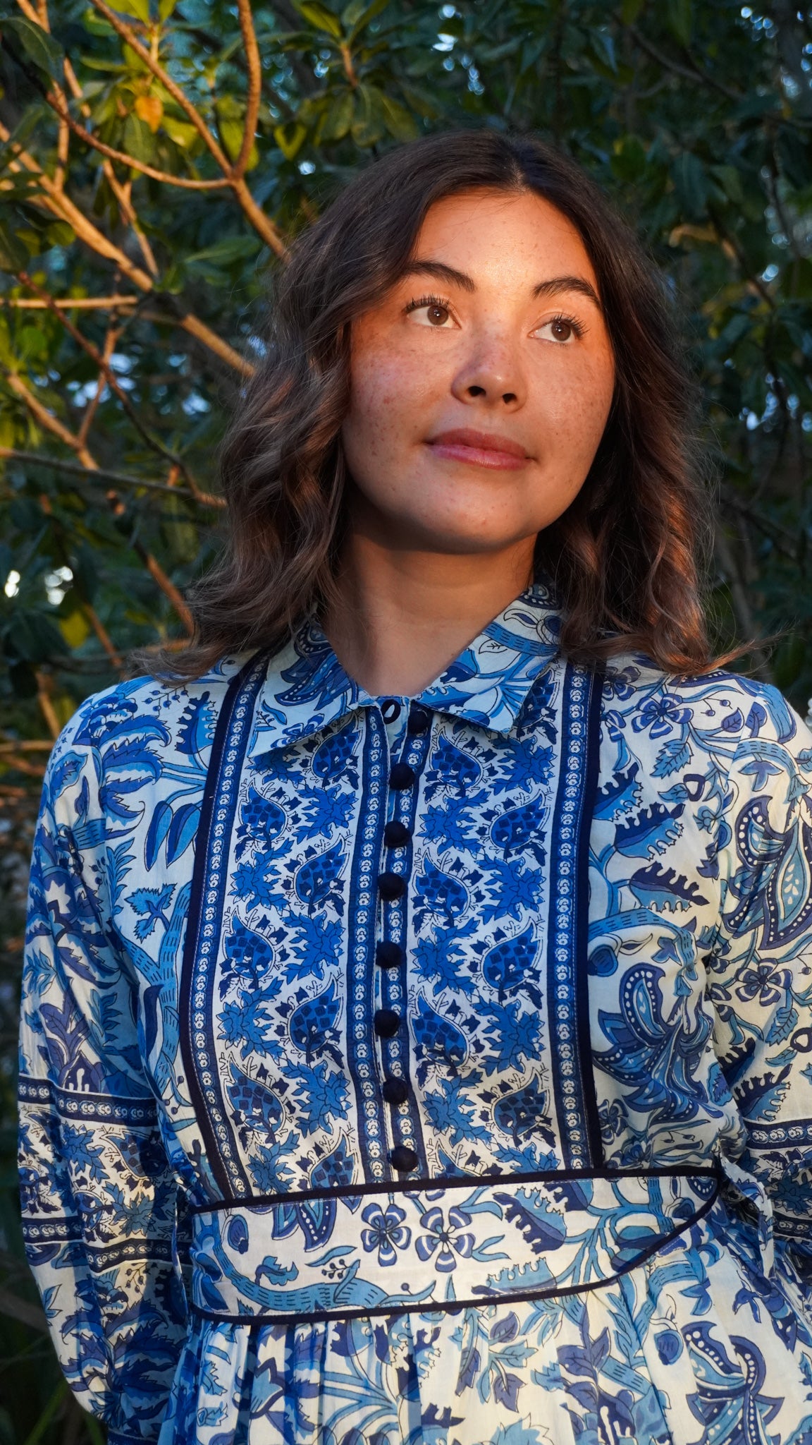 Bluebell Hour Dress