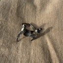 Oxidised Ring