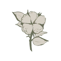 Organic Sustainable Fabrics